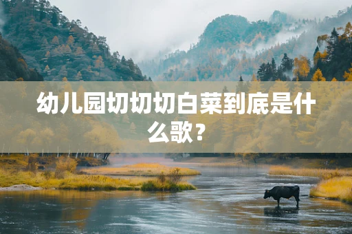 幼儿园切切切白菜到底是什么歌？
