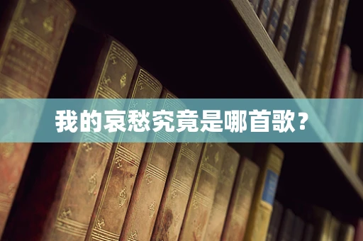 我的哀愁究竟是哪首歌？