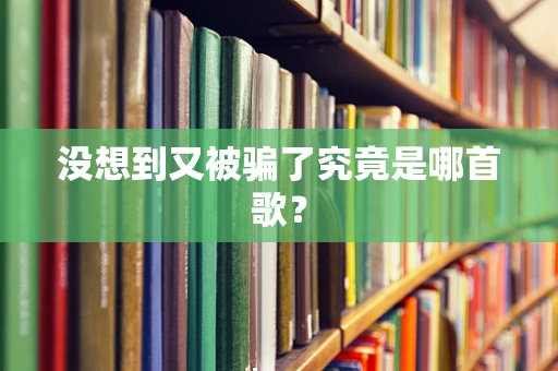 没想到又被骗了究竟是哪首歌？