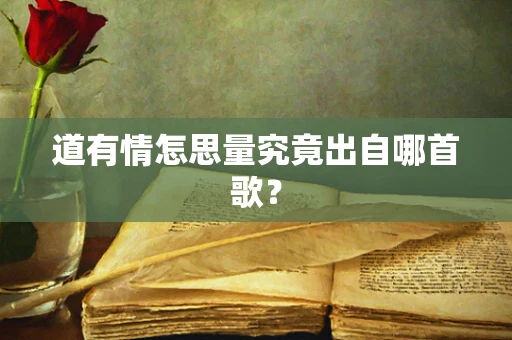 道有情怎思量究竟出自哪首歌？