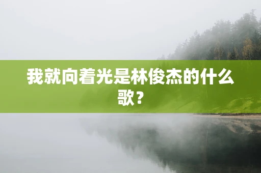 我就向着光是林俊杰的什么歌？