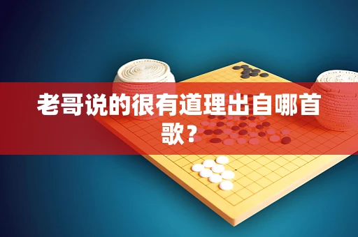 老哥说的很有道理出自哪首歌？