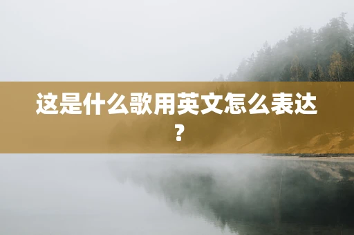 这是什么歌用英文怎么表达？