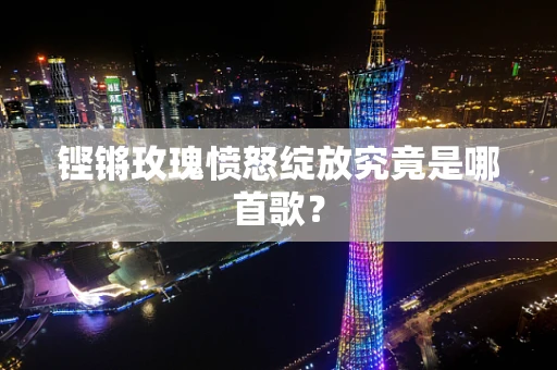 铿锵玫瑰愤怒绽放究竟是哪首歌？