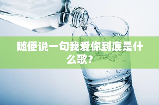 随便说一句我爱你到底是什么歌？