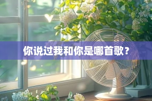 你说过我和你是哪首歌？