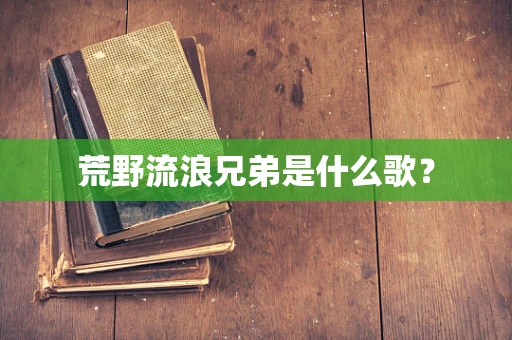 荒野流浪兄弟是什么歌？
