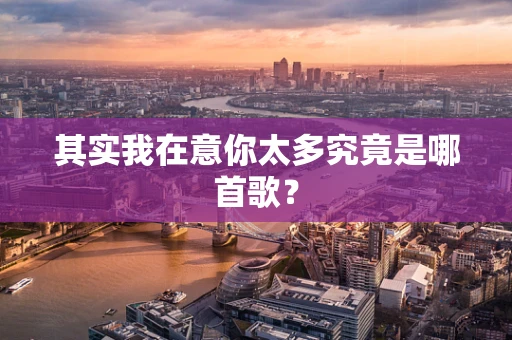 其实我在意你太多究竟是哪首歌？