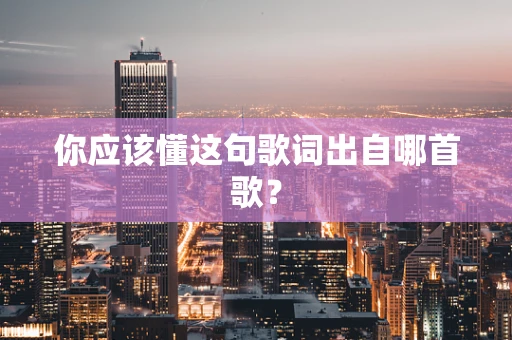 你应该懂这句歌词出自哪首歌？