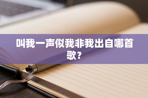 叫我一声似我非我出自哪首歌？