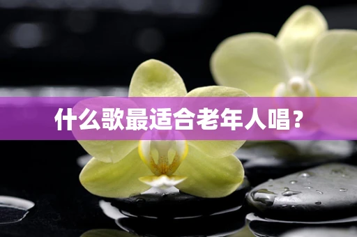 什么歌最适合老年人唱？