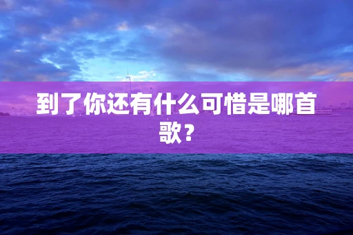 到了你还有什么可惜是哪首歌？