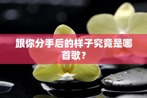 跟你分手后的样子究竟是哪首歌？