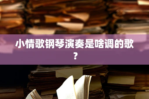 小情歌钢琴演奏是啥调的歌？