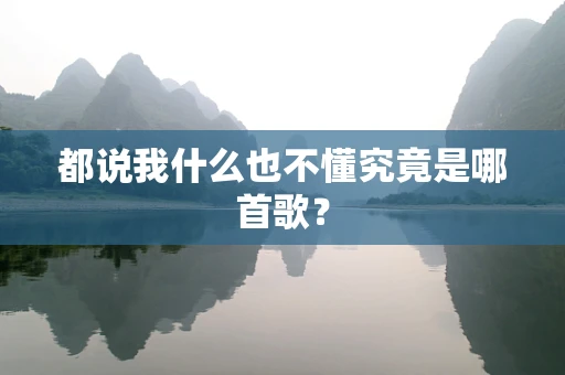 都说我什么也不懂究竟是哪首歌？