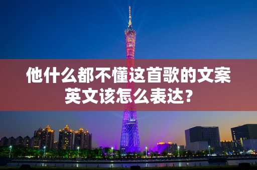 他什么都不懂这首歌的文案英文该怎么表达？