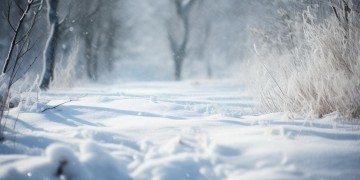 冰冷的雪与风究竟出自哪首歌？