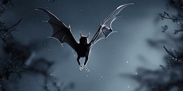 蝙蝠的片尾曲究竟是什么歌？