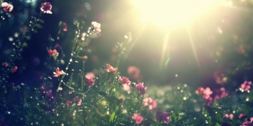 明天早上该唱什么歌呢？