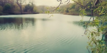 浓密的反义词究竟是哪首歌？