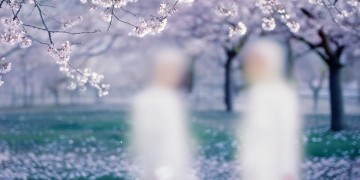 董琉歌和清歌究竟是什么关系？