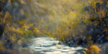 好想保护你的腰这句歌词出自哪首歌？