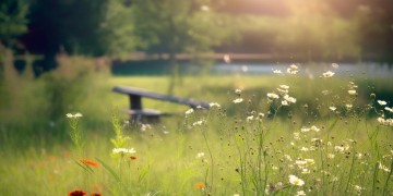 再见军营你好明天究竟是什么歌？