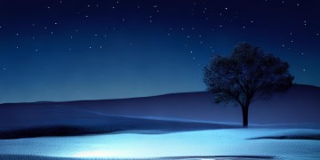 一个人的夜我的心应该放在哪里究竟是哪首歌？