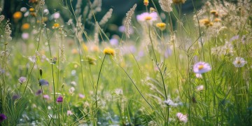 歌名结尾有吾的歌有哪些？