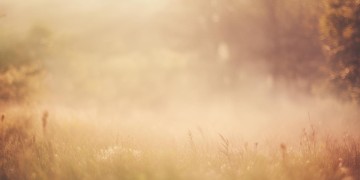 传来几声从前啊究竟是哪首歌？