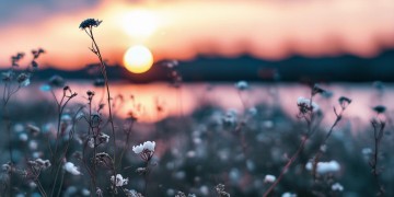 哪首歌里有爱你到地老天？