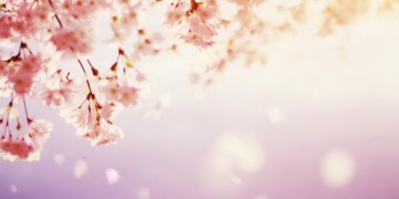 不能拥有谁更遗憾究竟是哪首歌？