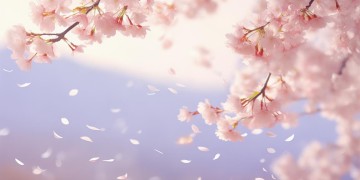 不会再有痴情究竟是哪首歌？