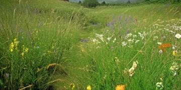 揣着梦想走究竟是哪首歌？