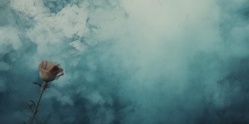 小白的苦恼究竟是什么歌？