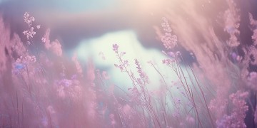 此生我不敢向往究竟是哪首歌？