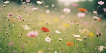 20岁最美的回忆到底是哪首歌？