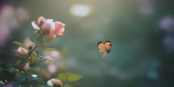 一瞬间就过去究竟是哪首歌？