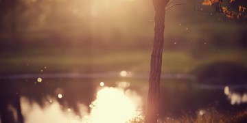 我变得更忧伤究竟是哪首歌的歌词？