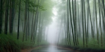 我到底做错了什么，傣歌背后藏着怎样的故事？
