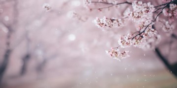 为了爱放弃了一切究竟是哪首歌？