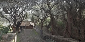 美丽的她开头曲究竟是哪首歌？