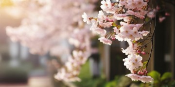 都说甜甜美到底是哪首歌？