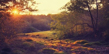 在远远的离开你究竟是哪首歌？