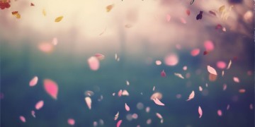 越爱的人受伤越多究竟是哪首歌？