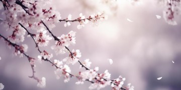 无缘能让人想到什么歌？