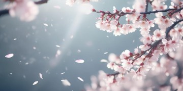 我相信会有一天这句歌词出自哪首歌？