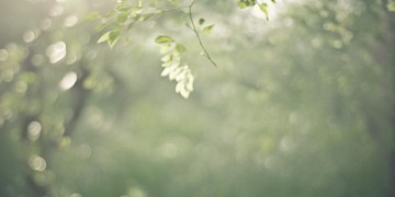 吹过你脸颊这句歌词出自哪首歌？