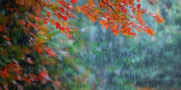 秋天的雨缠缠绵绵究竟是哪首歌？