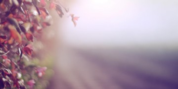你会不会擦肩而过究竟是哪首歌？